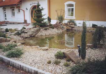 Jezírko Mladá Boleslav – osázení